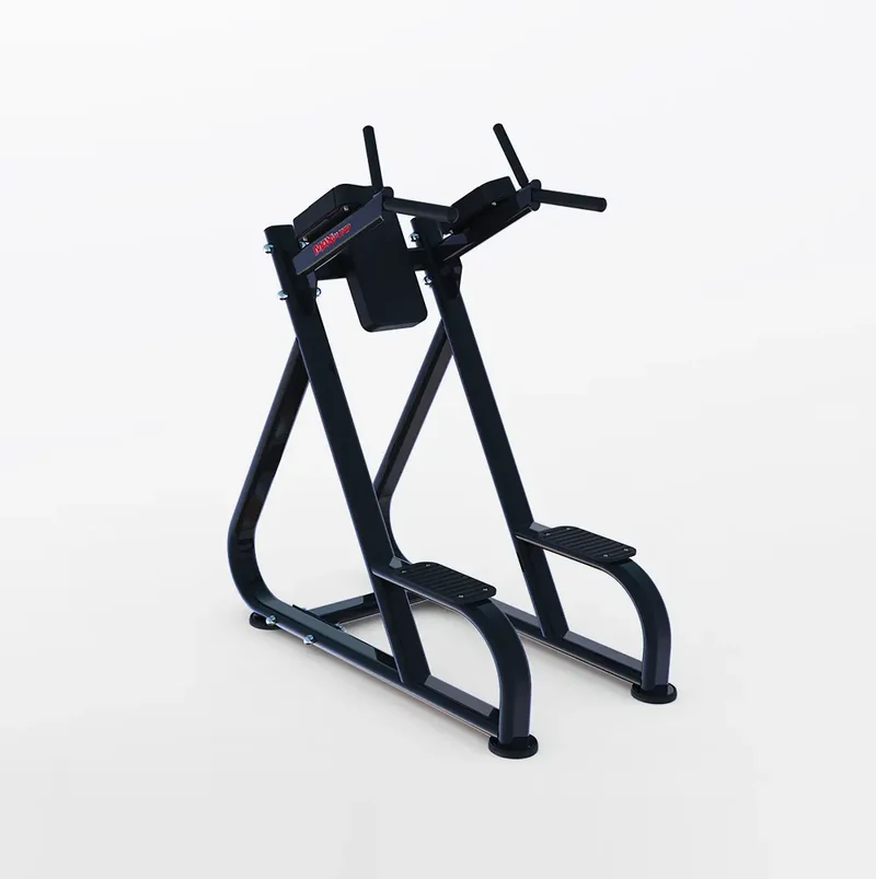 MaxPump A4000-45 Dip & Leg Raise