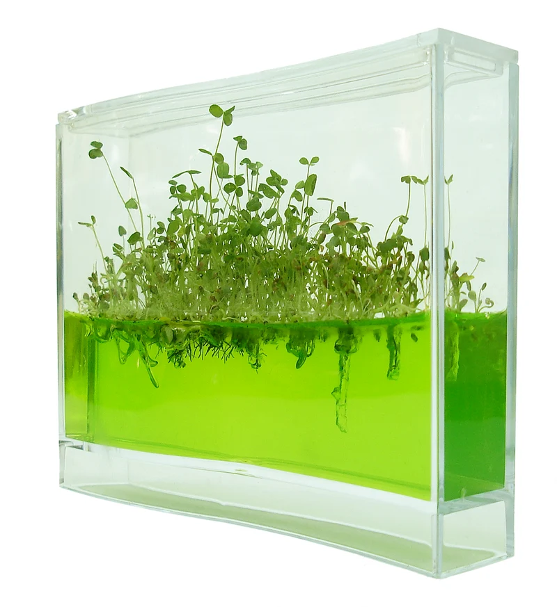 Plantarium Super