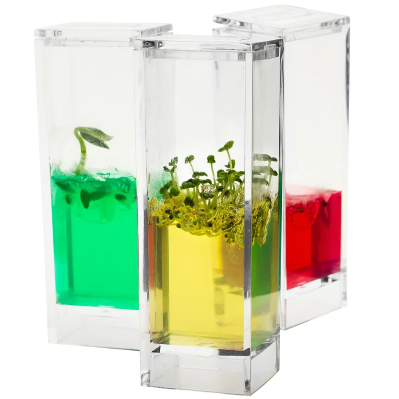 Laboratorio Giardino Plantarium