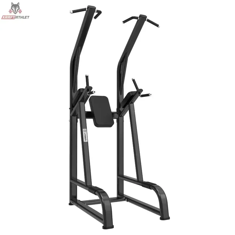 Klimmzug und Dipstation Titanium Strength Black Series