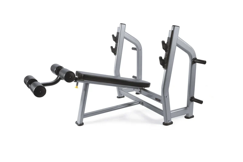 Panca Declinata Olimpica Professionale WBX-3600