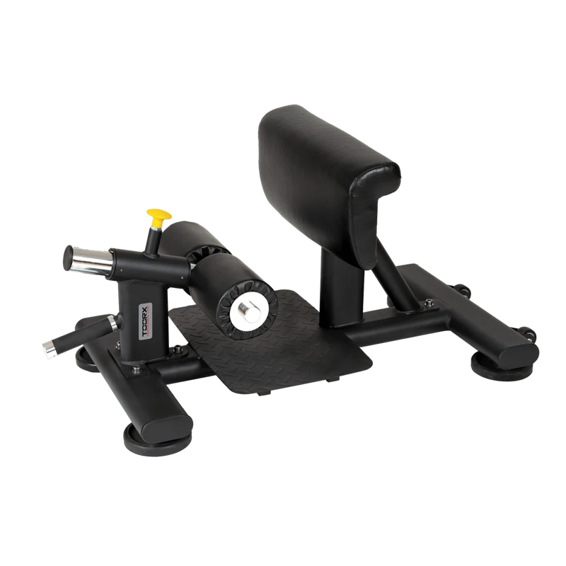 Sissy Squat Professionale WBX-1800