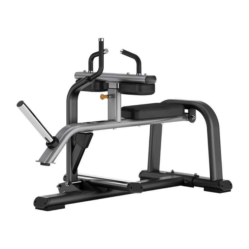 Seated Calf Raise Professionale FWX-9700