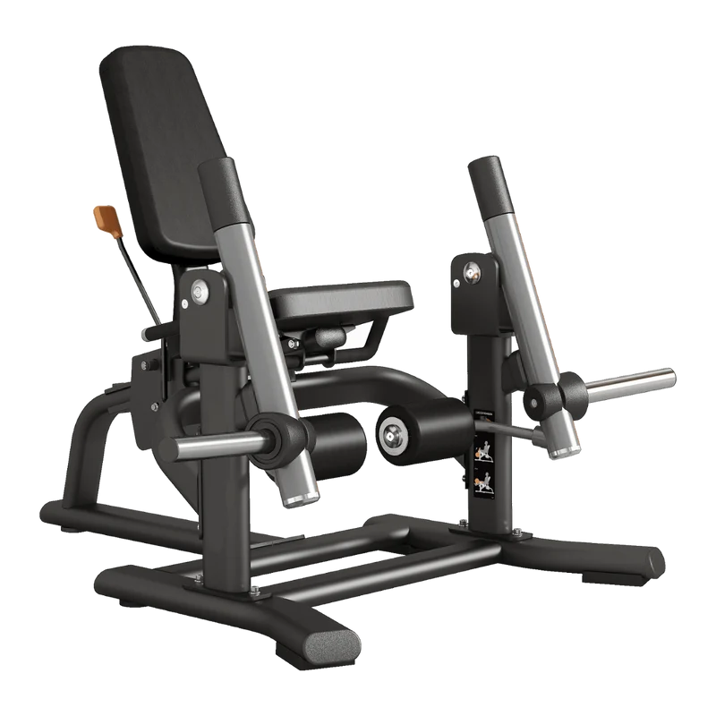 Leg Extension Professionale FWX-9400