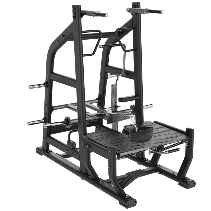 Belt Squat Professionale FWX-9050
