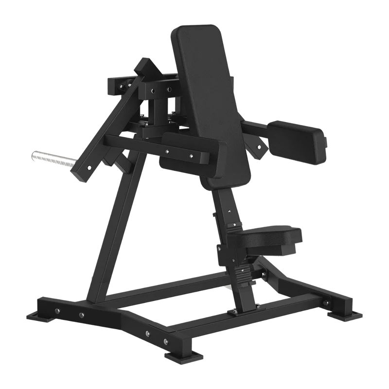 Lateral Raise Professionale FWX-6500