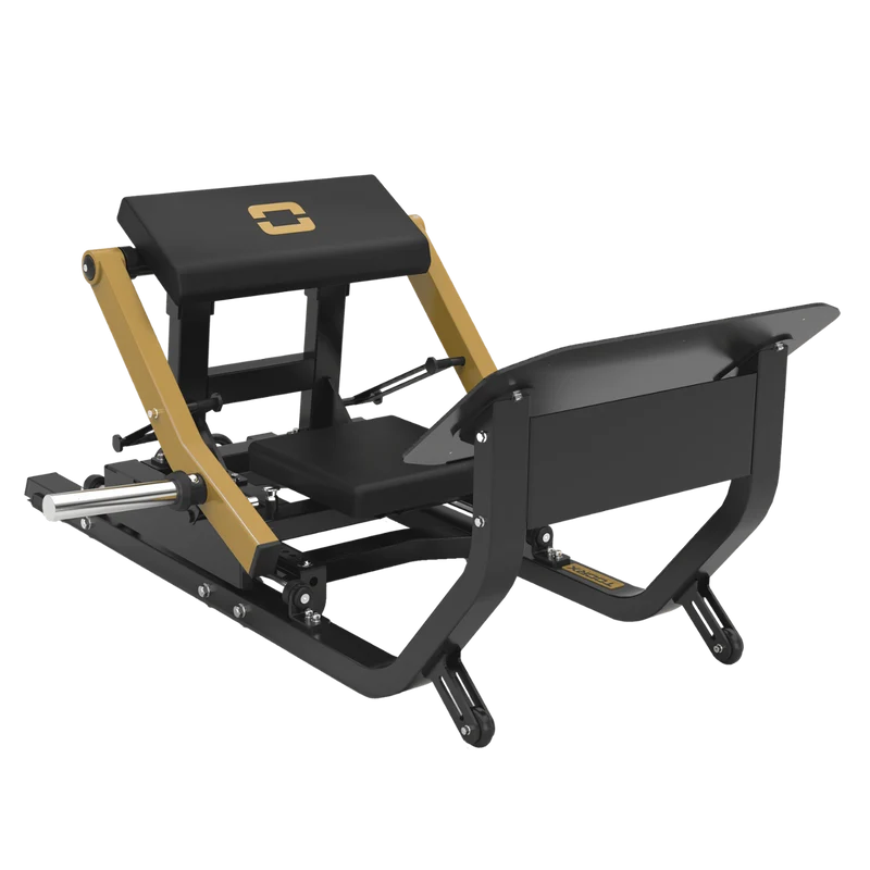 Hip Thrust Professionale FWX-10300