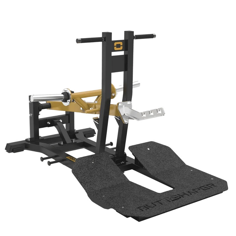 Belt Squat Professionale FWX-10200
