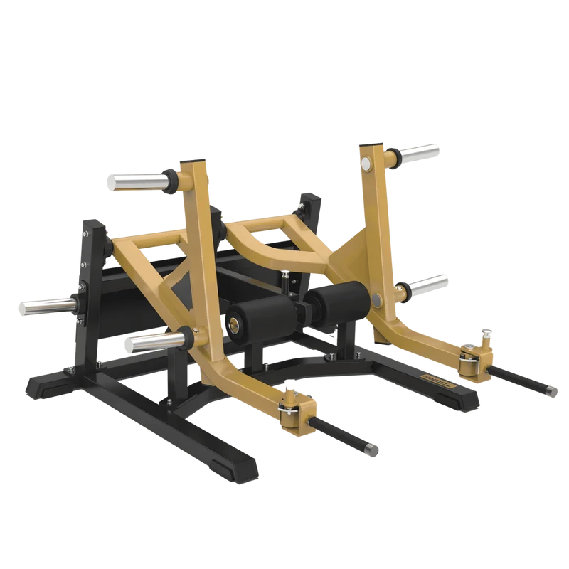 Squat Lunge Professionale FWX-10100