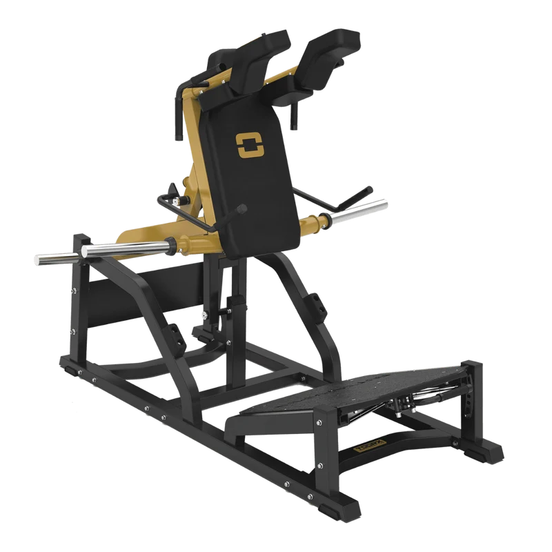 Hack Squat Professionale FWX-10000 V SQUAT