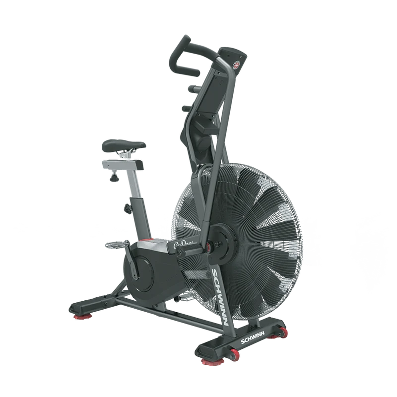 Air Dyne Professionale AD8 SCHWINN