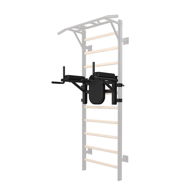 Dip Station per spalliera multifunzionale LDX-3000