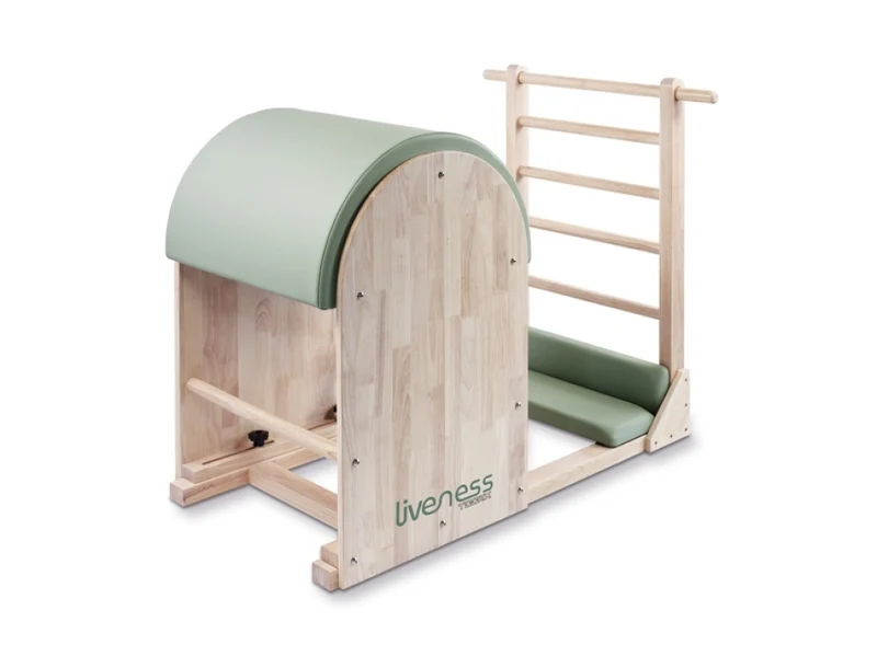 Ladder Barrel Professionale PTX -1900
