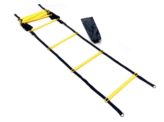 SCALETTA AGILITY CON BORSA 6 m ALD
