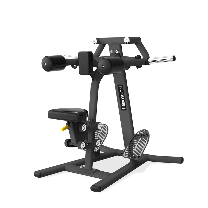 Seated Lateral Raise Professionale S300