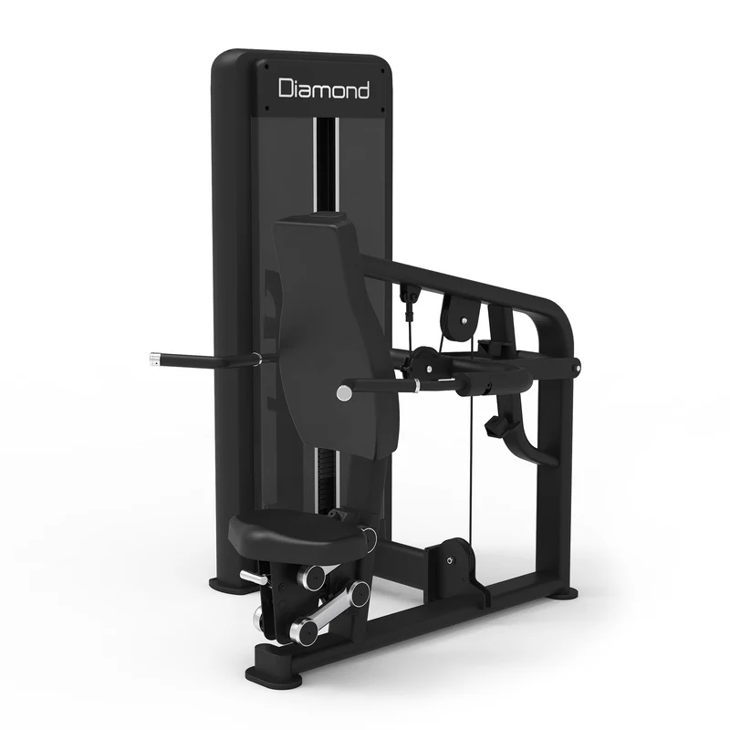 S550 TRICEPS DIP