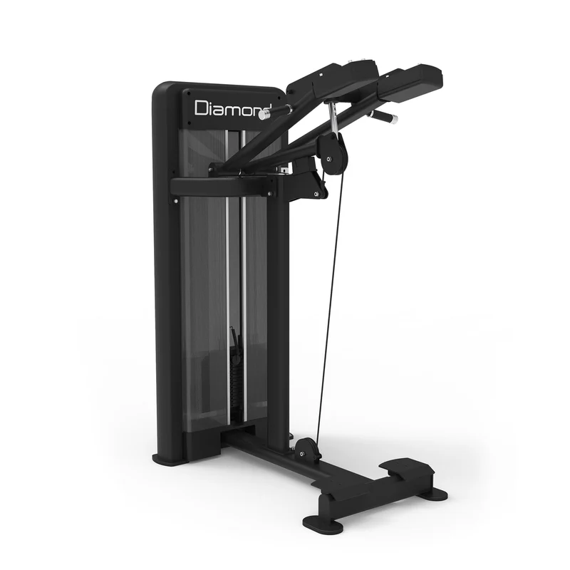 S550 STANDING CALF