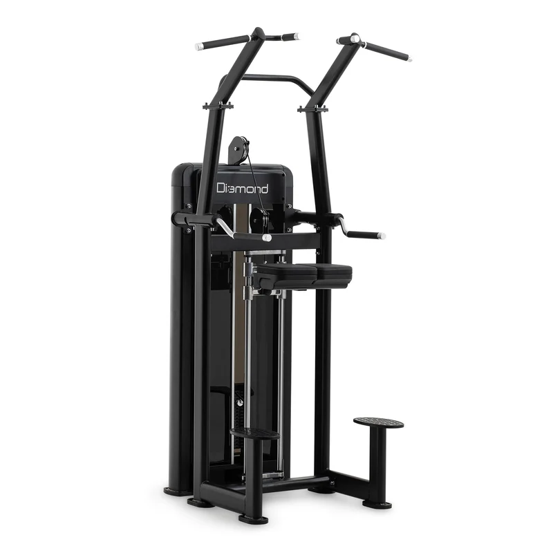S550 CHIN UP/DIP