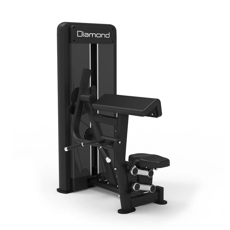 S550 BICEPS CURL
