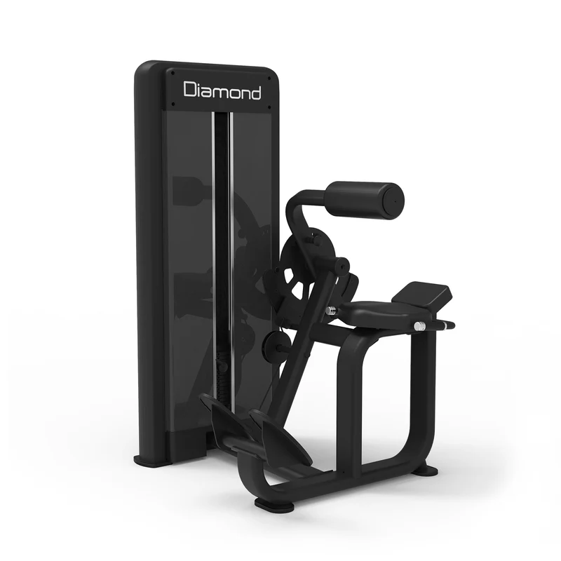 Back Extension Professionale S550