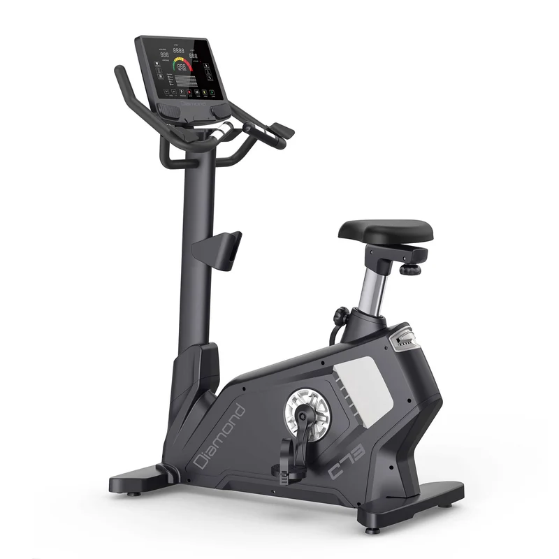 Cyclette Elettro-Magnetica C73