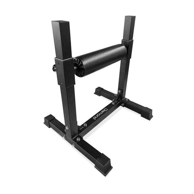 BULGARIAN SPLIT SQUAT