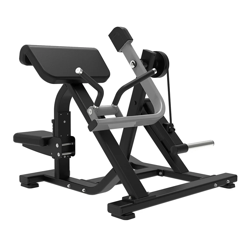 SEATED BICEPS CURL