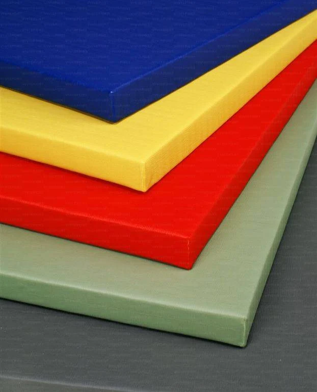 Tatami judo densitÃ 250 kg/mc fondo liscio 200x100x4 Vivisport