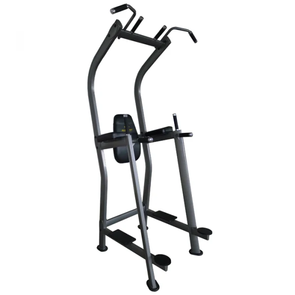 Element Vertical Knee Raise 870 VKR