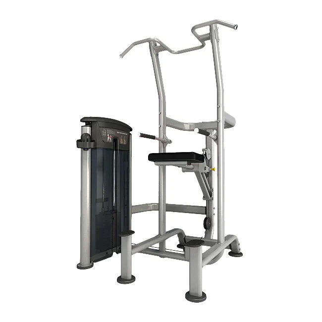 Element MERCURY 9520 Weight Assisted Chin/Dip Combo