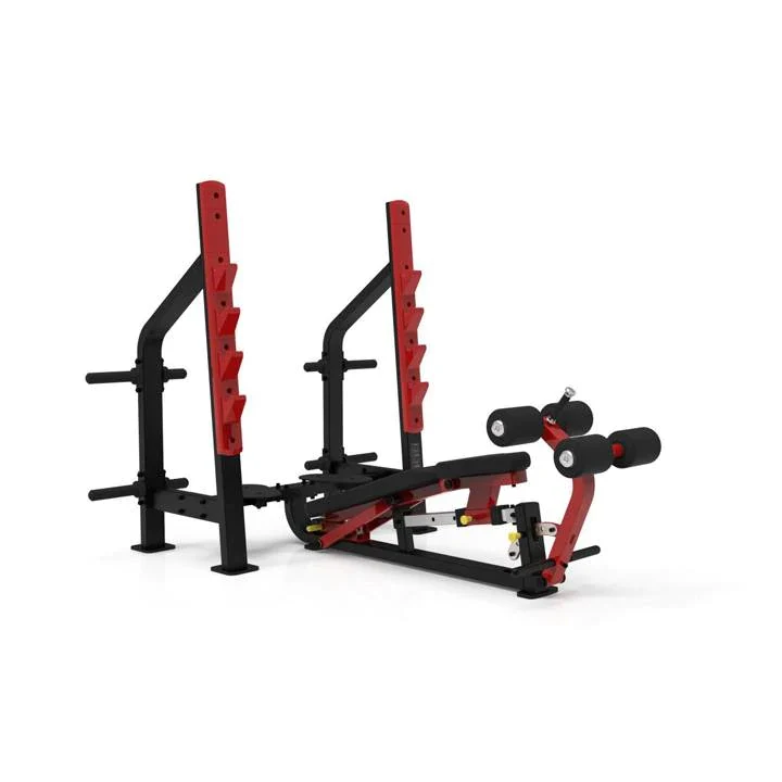 EL 7041 Multi Adjustable Olympic Bench Iron