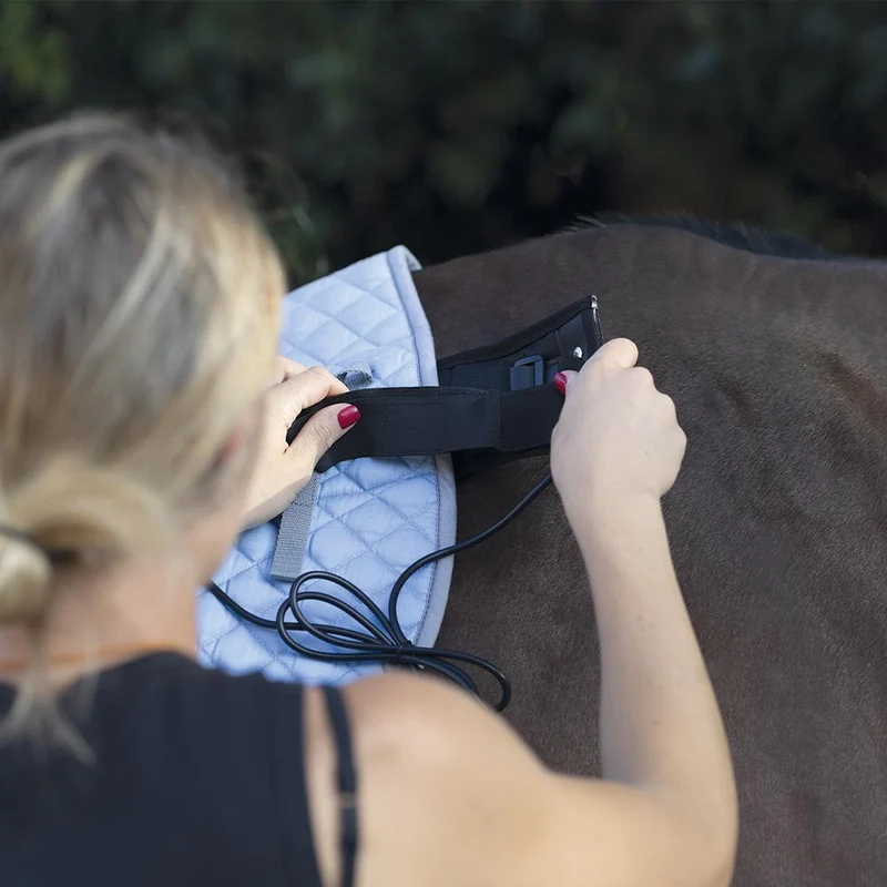 KORA Prix Magnetoterapia per schiena dei cavalli