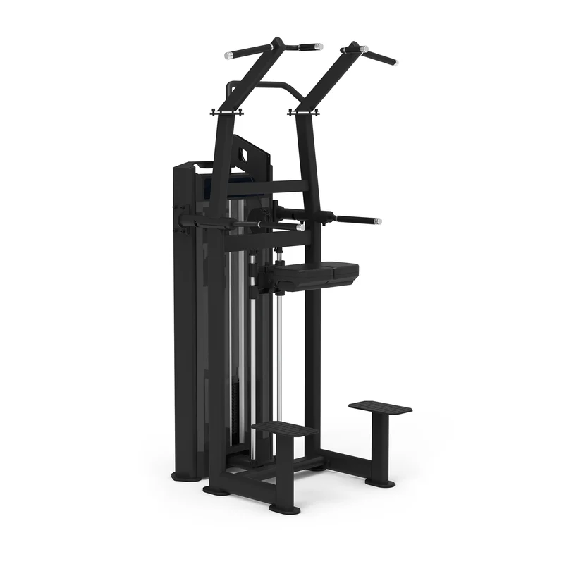 Chin up - Dip Diamond Professional Serie 650