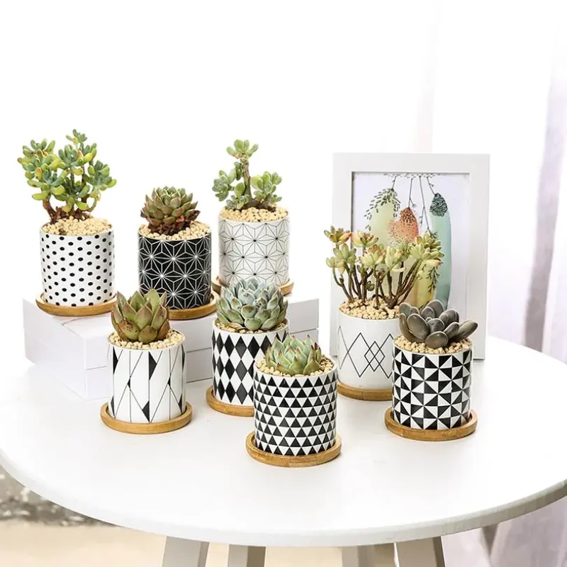 Nordic Style Ceramic Succulent Planter - Geometric Design