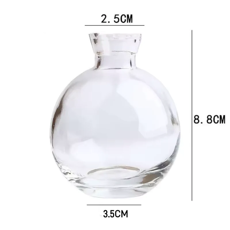 Mini Glass Flower Vase - Transparent Hydro Planter, Desktop Decor