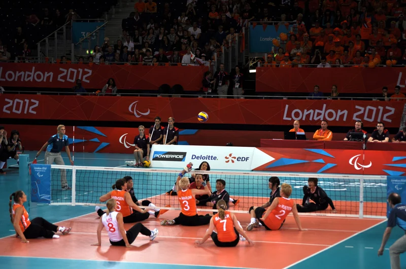 Rete Sitting Volley da 100x3,5 mm Art. P202