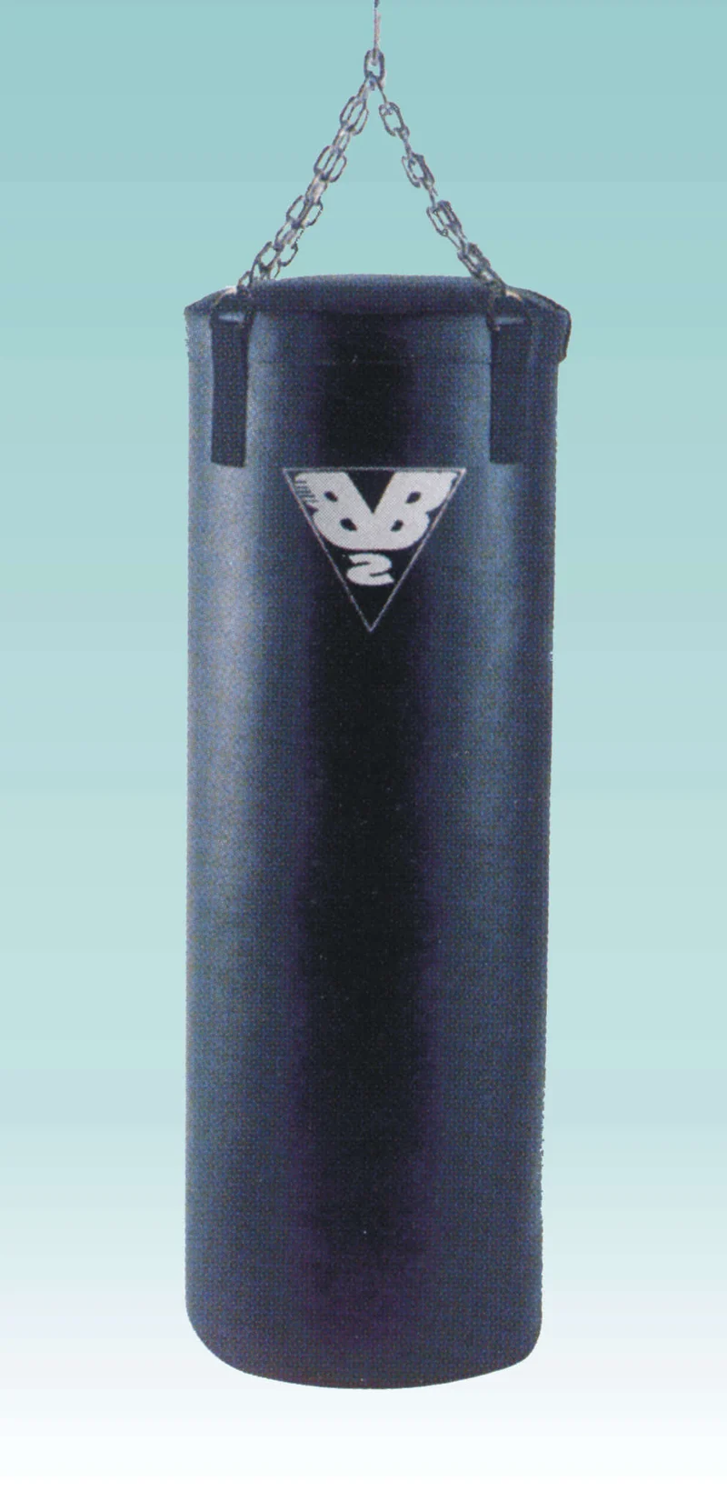 SACCO BOXE da 10/30/40 o 50 KG Sacco ø 25 alt. 70 con catena e moschettone COD. 8110 /8111/8112/8113