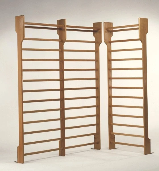 Spalliera svedese di legno Sport System a 1 campata, cm 90x250 Art. S01102