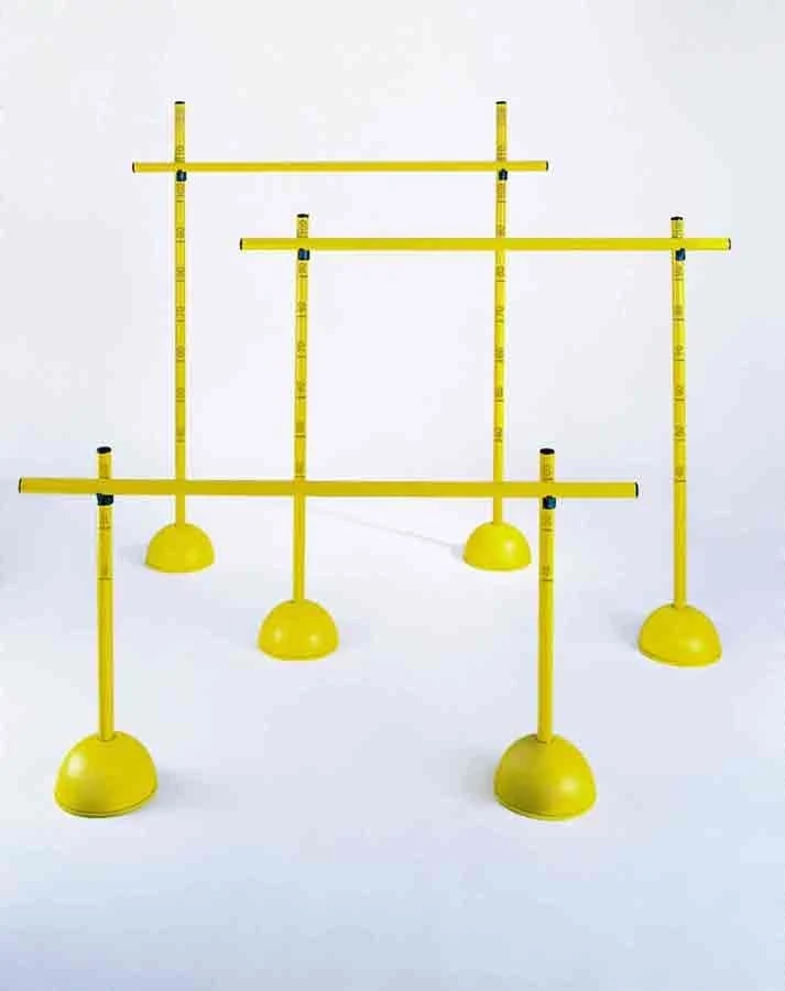 Ostacolo graduabile per allenamento con base, altezza 160 cm.