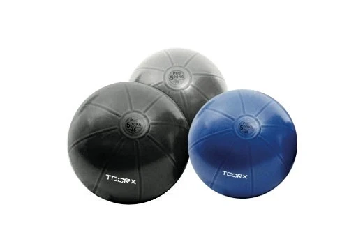 Toorx Gym Ball Pro Blu - Diametro 55 cm - AHF-147