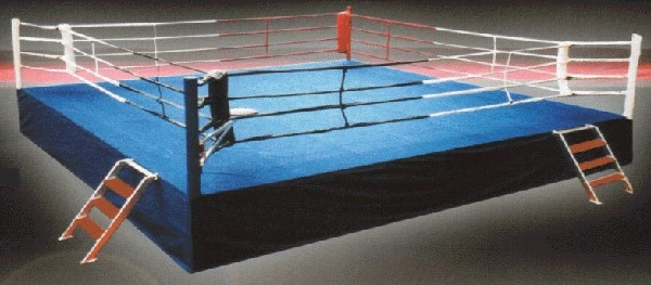 RING PUGILATO ARTI MARZIALI NOLEGGIO VENDITA