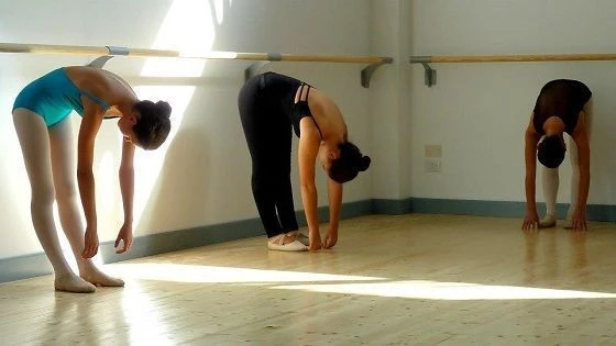 Sbarra Danza In Legno Beams Di Pino Melis Da 2m Dinamica Ballet
